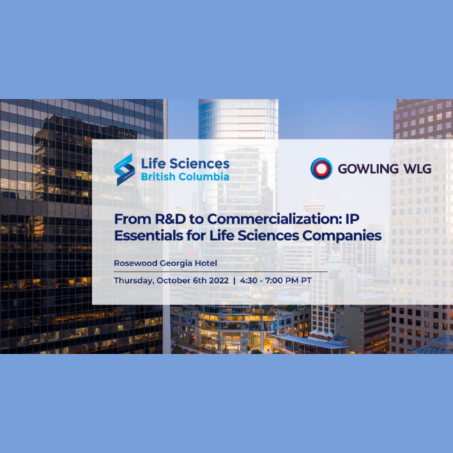 Untitled design (13)