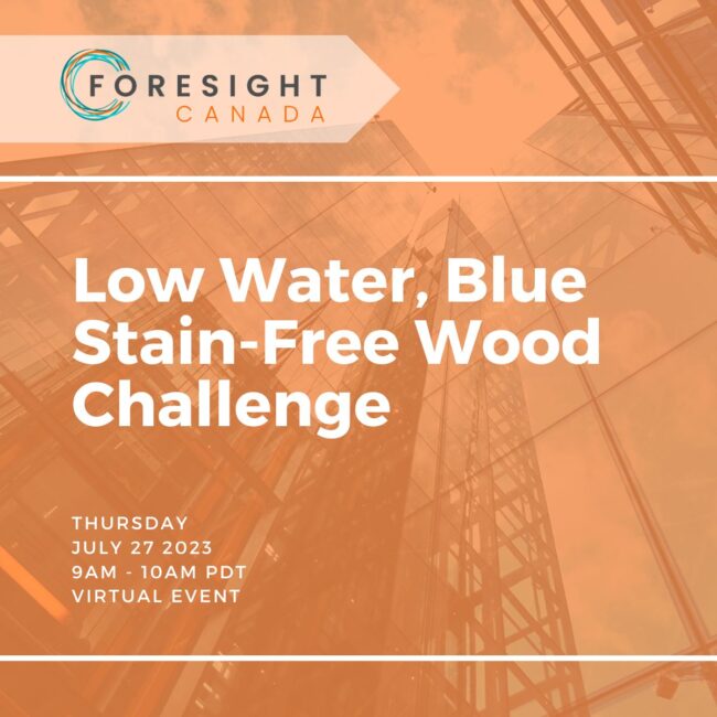 Foresight Foresight