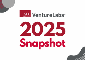 VentureLabs 2025 Snapshot