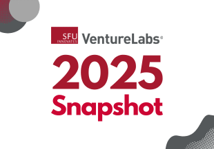VentureLabs 2025 Snapshot