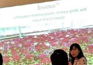 Dr. Lili Mesak Presenting about Nutrienvisus